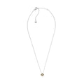 Ladies' Necklace Skagen SKJB1002998