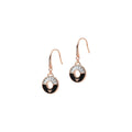 Ladies' Earrings Emporio Armani EG3556221