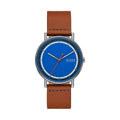 Men's Watch Skagen SIGNATUR (Ø 40 mm)