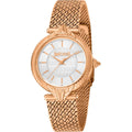 Montre Femme Just Cavalli JC1L237M0075