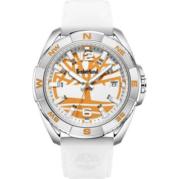 Men's Watch Timberland TDWGN2202105