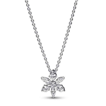 Ladies' Necklace Pandora 392387C01-45