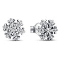 Ladies' Earrings Pandora 292370C01