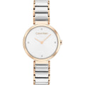 Ladies'Watch Calvin Klein 25200139