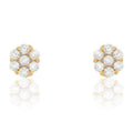 Ladies' Earrings Stroili 14011047