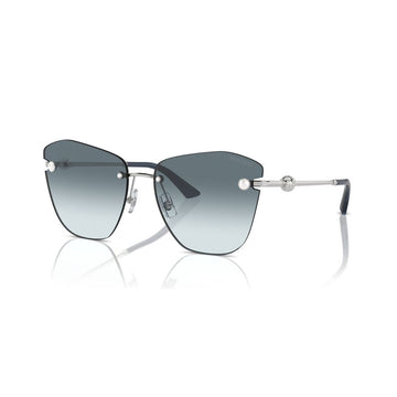 Ladies' Sunglasses Jimmy Choo JC 4004HB