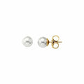 Ladies' Earrings Majorica 00323.01.1.000.701.1