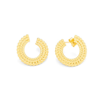 Ladies' Earrings Radiant RY000019