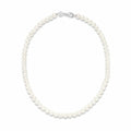 Ladies' Necklace Ti Sento 3849PW/42