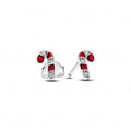 Ladies' Earrings Pandora 292996C01