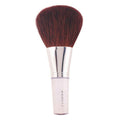 Brush Clinique 70600