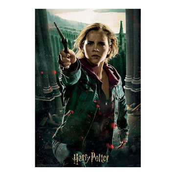 3D Puzzle Harry Potter Hermione Granger Battle Prime3D (300 pcs)