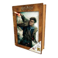 3D Puzzle Harry Potter Battle Prime3D (300 pcs)