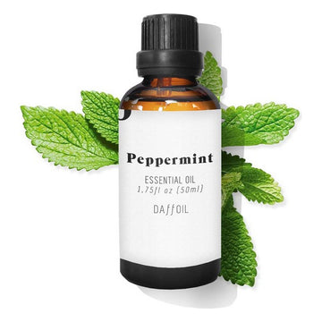 Essential oil Daffoil Mint (50 ml)