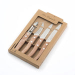 Set de Cuchillos Amefa Bosque Madera (4 pcs)