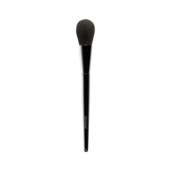 Brush Cheek Kanebo Black