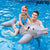 Air mattress Dolphin Rider Jilong 18736 (152 x 90 cm)