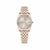 Ladies'Watch Pinko PT-3468L-07M (Ø 29 mm)