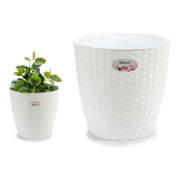 Plant pot White