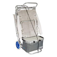 Multi-purpose beach cart Aluminium (52 x 37 x 105 cm)