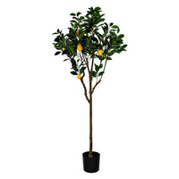 Tree DKD Home Decor Ornamental (74 x 150 cm)