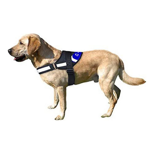 Dog's Reinforced Harness Real Madrid C.F. Blue