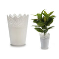 Plant pot White Plastic White