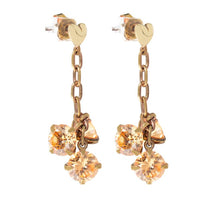 Pendientes Mujer Folli Follie 3E0S006RS (4 cm)