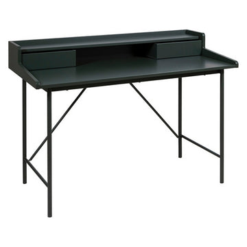 Desk MDF Wood (120 x 60 x 89 cm)