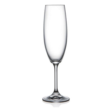 Flat champagne and cava glass Lara Crystal (6 pcs) (200 cc)