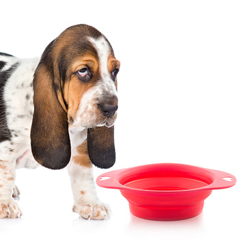 Folding Pet Bowl Heart