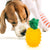 Dog Toy Fruits