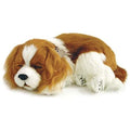 Plush Toy Dog Cavalier King Charles (10 x 23 x 19 cm) (Refurbished B)