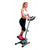 Step Swing Stepper (Refurbished C)