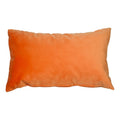 Cushion Velvet Orange