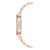 Ladies'Watch Nine West NW-1642PKRG (ø 38 mm)