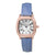 Ladies'Watch Folli Follie WF14B020SDA (Ø 34 mm)