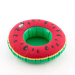 Aventure Goods Watermelon Inflatable Stand for Cans